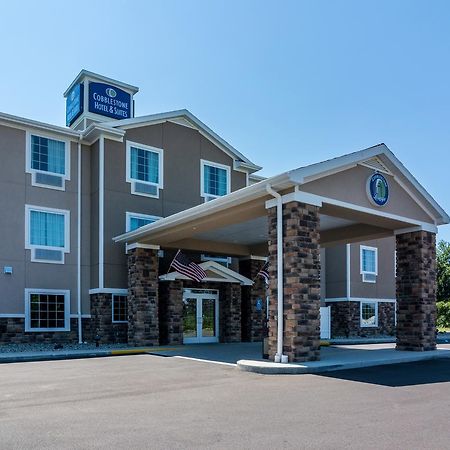 Cobblestone Hotel & Suites - Greenville Экстерьер фото